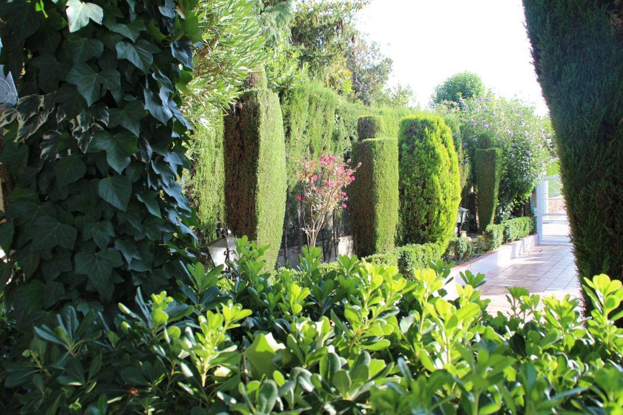 הוילה גרנדה El Jardin De La Abuela מראה חיצוני תמונה